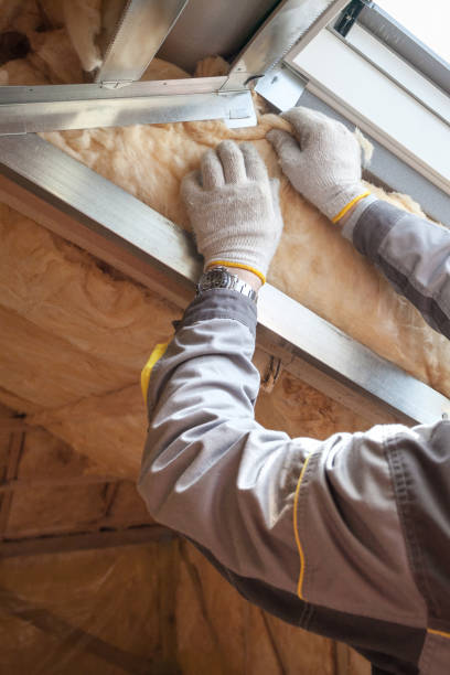 Best Residential Insulation in Woodbranch, TX